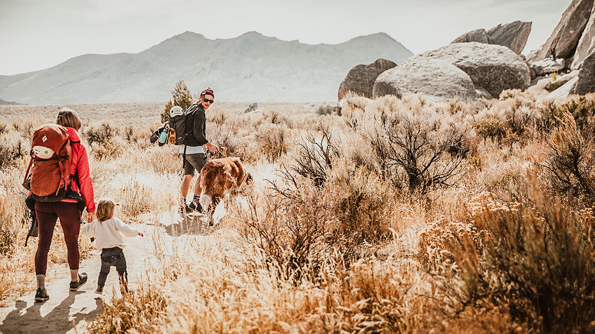 The 16 Biggest Roadside Factors of curiosity in Idaho for Children